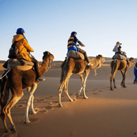 Vakantiefoto met kameel op canvas