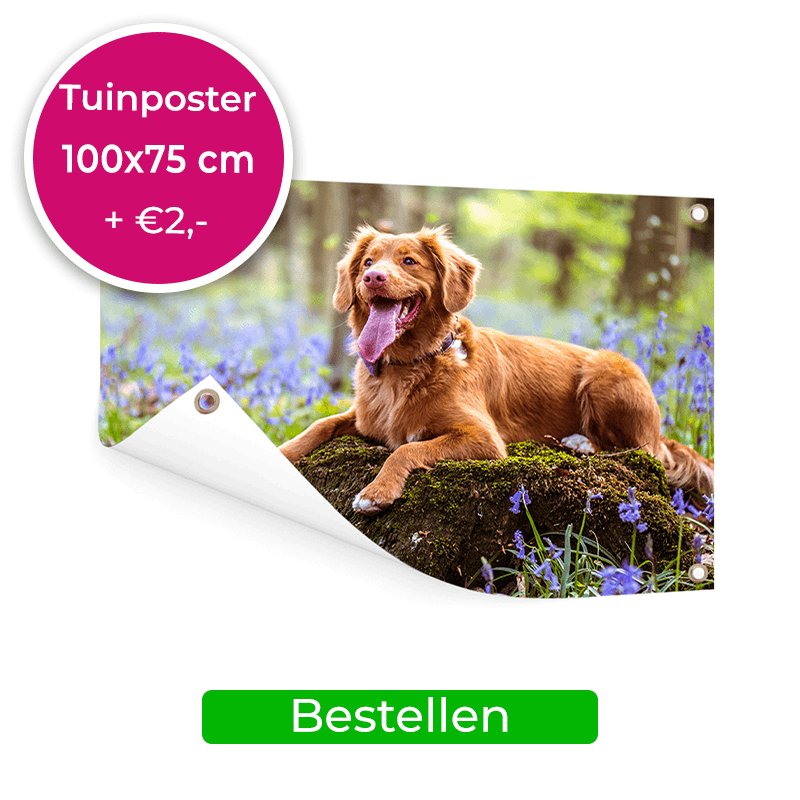 Tuinposter 100x75